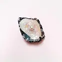 LIC ACHA - Oyster with Pearl Claw Hair Clip