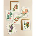 Our Heiday - OH OH NSBL - Harvest Spring & Summer Fruits Assorted Boxed Note Set