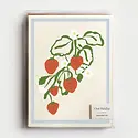 Our Heiday - OH OH NSBL - Harvest Spring & Summer Fruits Assorted Boxed Note Set