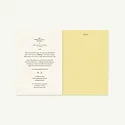 Mr. Boddington's Studio - MB MB AGUD - Undated 17-Month Agenda, Pistachio Green Monthly Planner