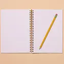 and Here We Are - AHW AHW NBLI - Mallard Ducks Lined Spiral Notebook