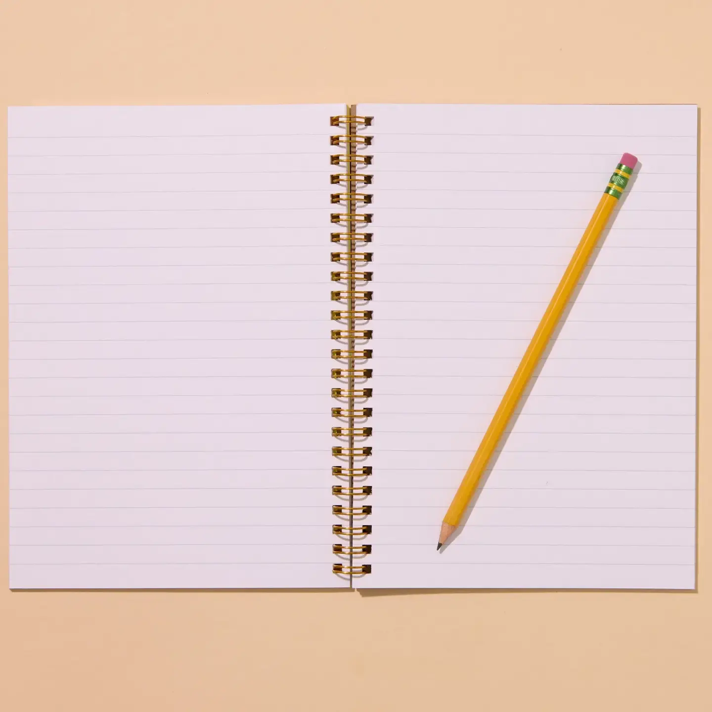 and Here We Are - AHW AHW NBLI - Mallard Ducks Lined Spiral Notebook