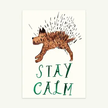 Mr. Boddington's Studio - MB MBGCHU0002 - Puppy, Nooo! Stay Calm Card