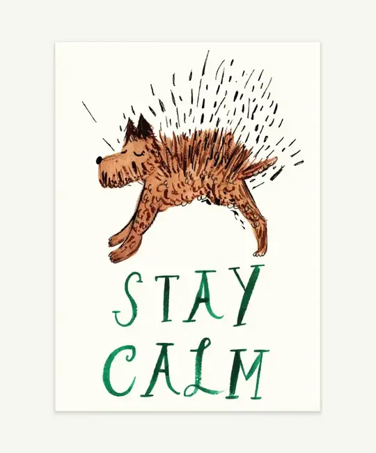 Mr. Boddington's Studio - MB MBGCHU0002 - Puppy, Nooo! Stay Calm Card