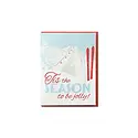Noteworthy Paper and Press - NPP NPP NSHO - Tis Season to Be Jolly Skis Boxed Note Set