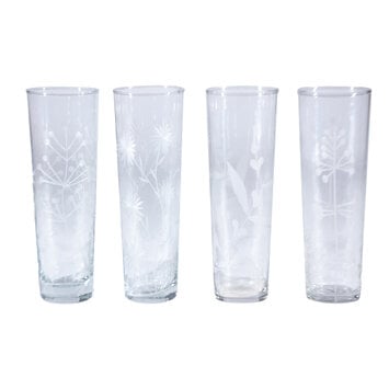 Creative Co-Op - CCO CCO HG - Etched Botanicals Drinking Glass, 8 oz.