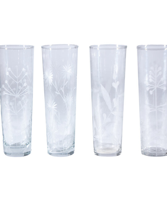 Creative Co-Op - CCO CCO HG - Etched Botanicals Drinking Glass, 8 oz.