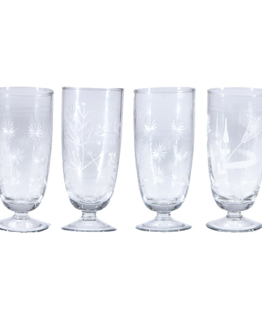 Creative Co-Op - CCO CCO HG - Etched Botanicals Stemmed Drinking Glass, 8 oz.
