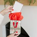 Ramona and Ruth - RR RR GBSM - Holiday Plaid Small Gift Bag
