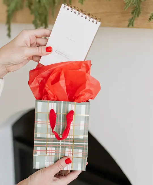 Ramona and Ruth - RR RR GBSM - Holiday Plaid Small Gift Bag