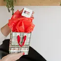 Ramona and Ruth - RR RR GBSM - Holiday Plaid Small Gift Bag