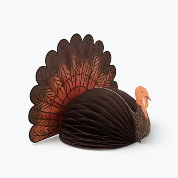 Rifle Paper Co - RP RP PSDE - Turkey Honeycomb Decor