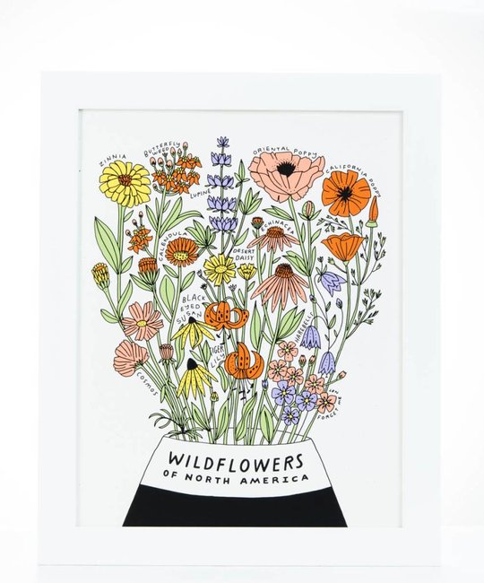 Worthwhile Paper - WOP Wildflowers of North America 11 x 14 Botanical Print