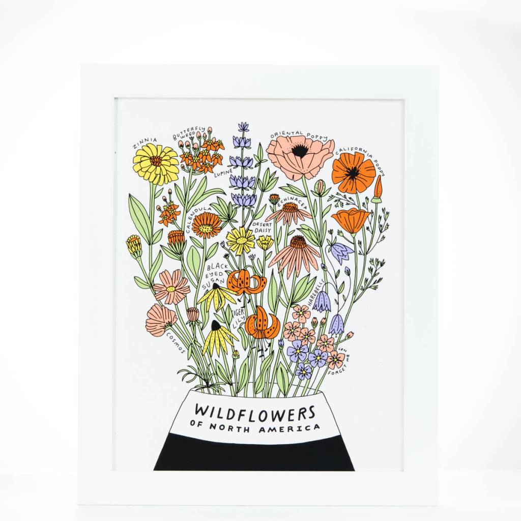 Worthwhile Paper - WOP Wildflowers of North America 11 x 14 Botanical Print