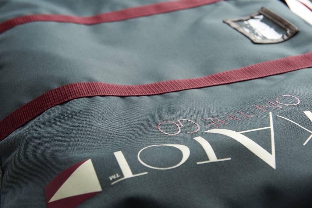 dockatot transport bag