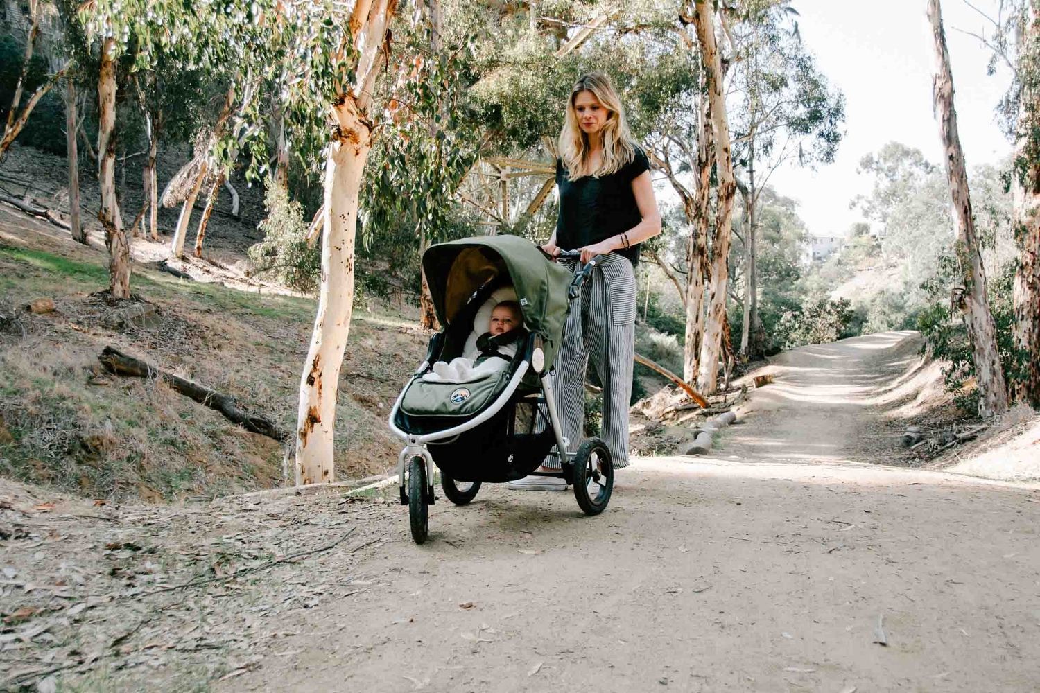 bumbleride infant insert