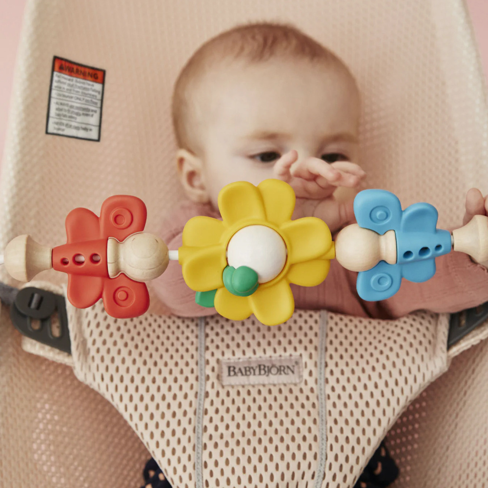 BabyBjorn BabyBjorn Flying Friends Toy for Bouncer