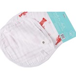 Little Hometown Heads or Tails 2-in-1 Burp Cloth Bib