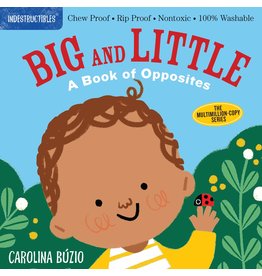 Indestructibles Baby Books Indestructibles: Big and Little
