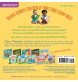 Indestructibles Baby Books Indestructibles: Baby See The Colors