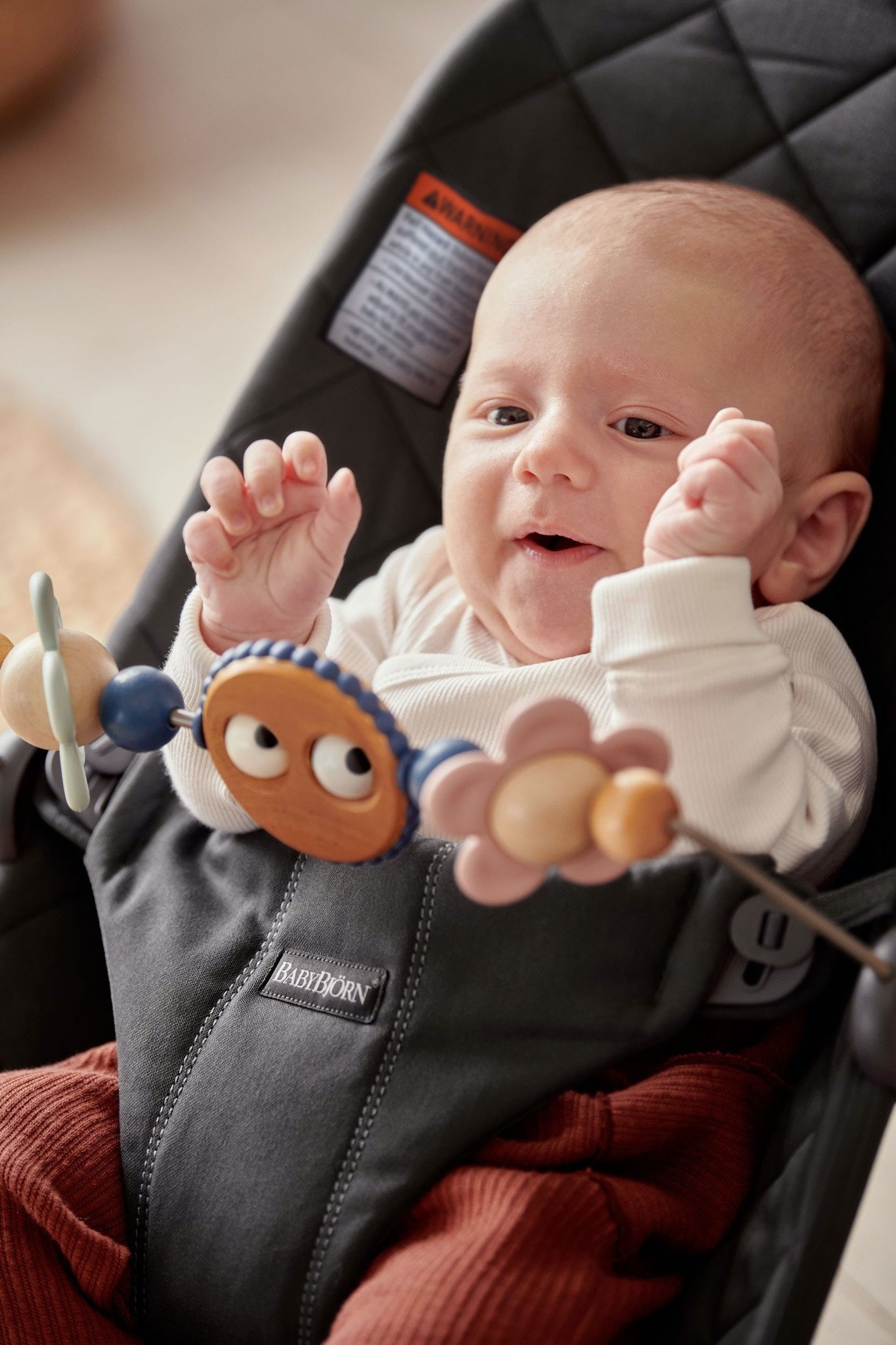 BabyBjorn BabyBjorn Bouncer Googly Eyes Toy