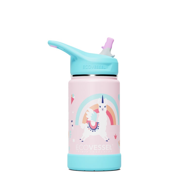 Water Bottle with Straw | Kids 12oz Stainless Steel Water Bottle