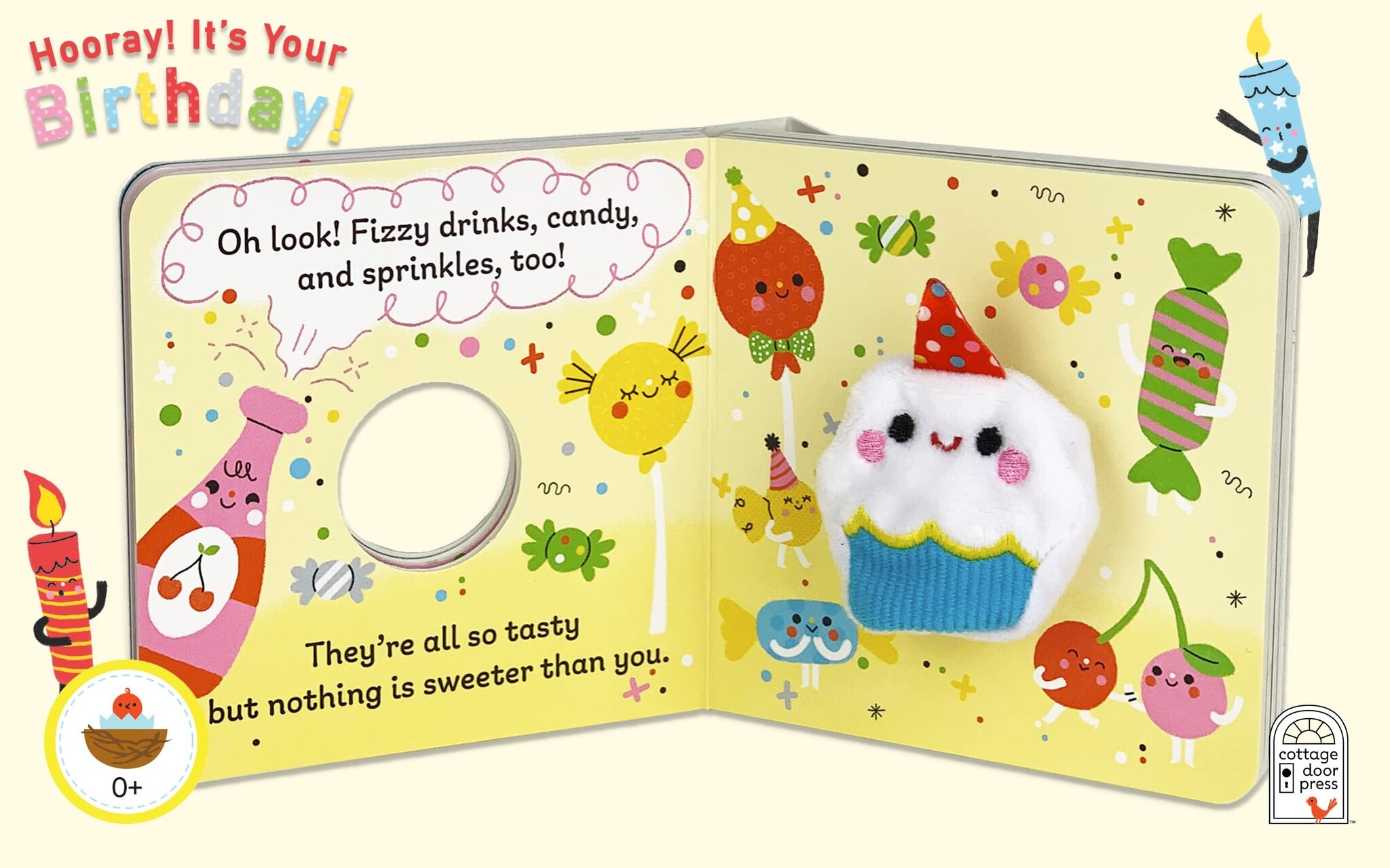 Books Hooray It's Your Birthday Puppet Book