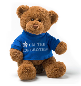 Gund I'm the Big Brother Bear