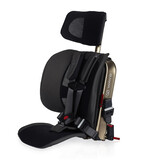 WAYB WAYB Pico Portable Car Seat