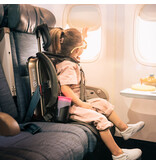 WAYB WAYB Pico Portable Car Seat
