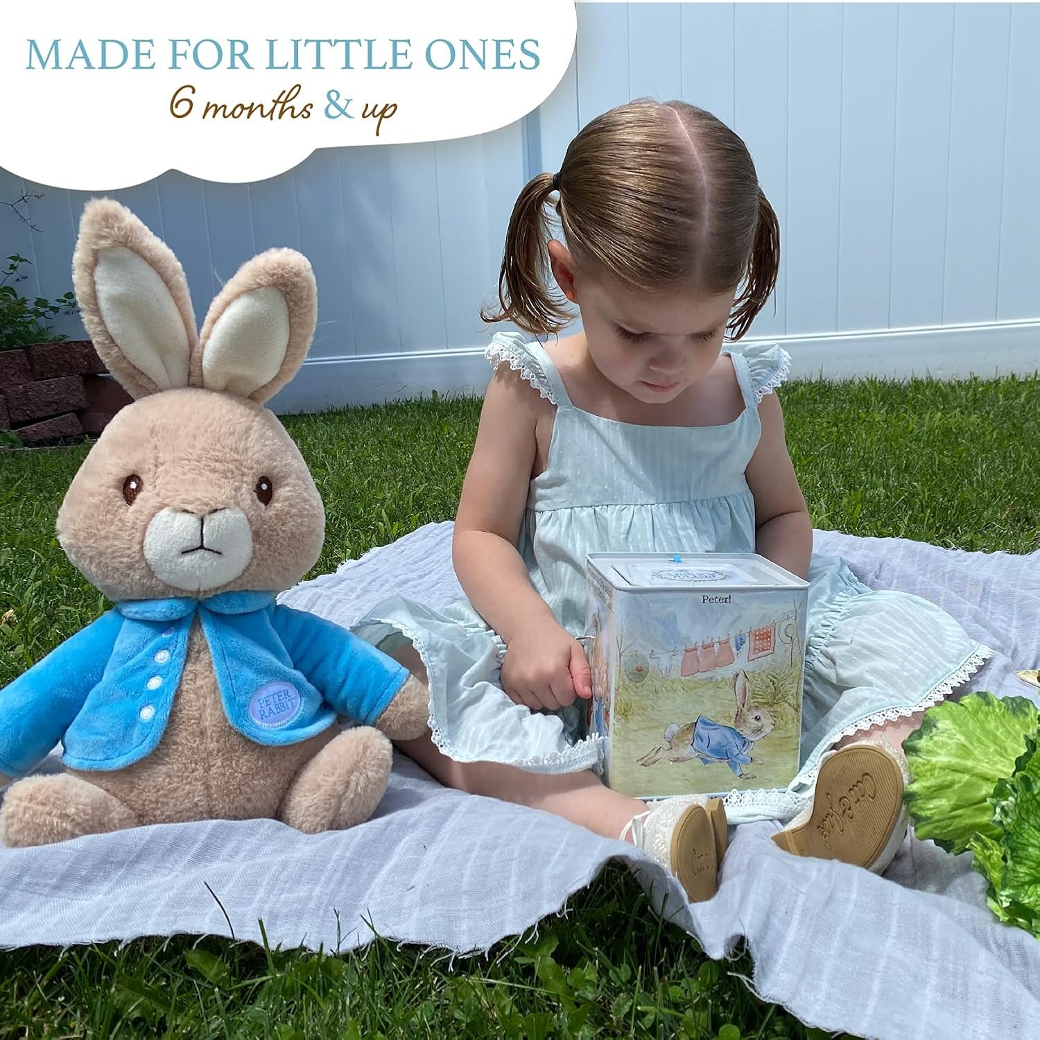 Kids Preferred Peter Rabbit Jack-in-The-Box