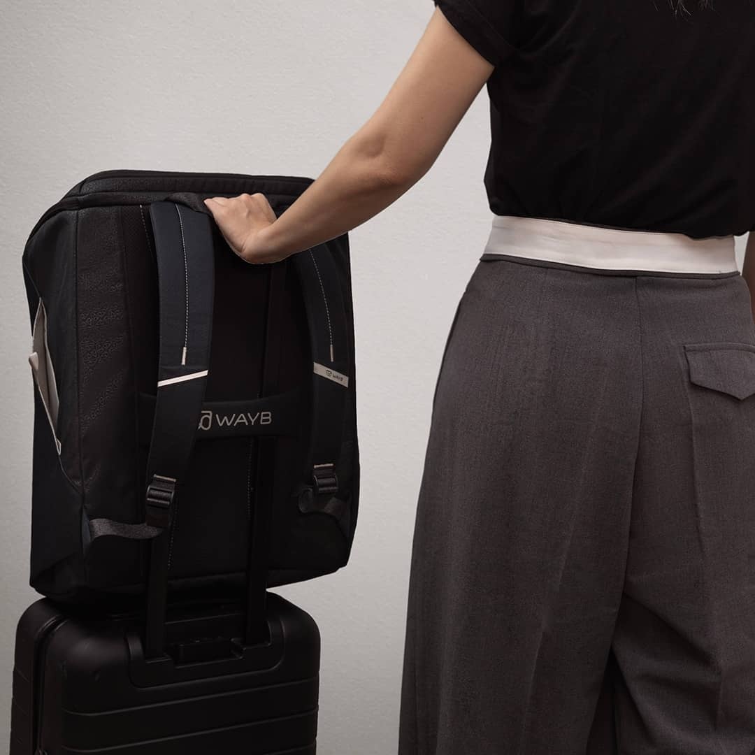 WAYB WAYB Pico Carry Bag