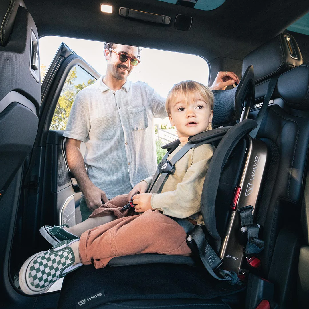WAYB WAYB Pico Portable Car Seat