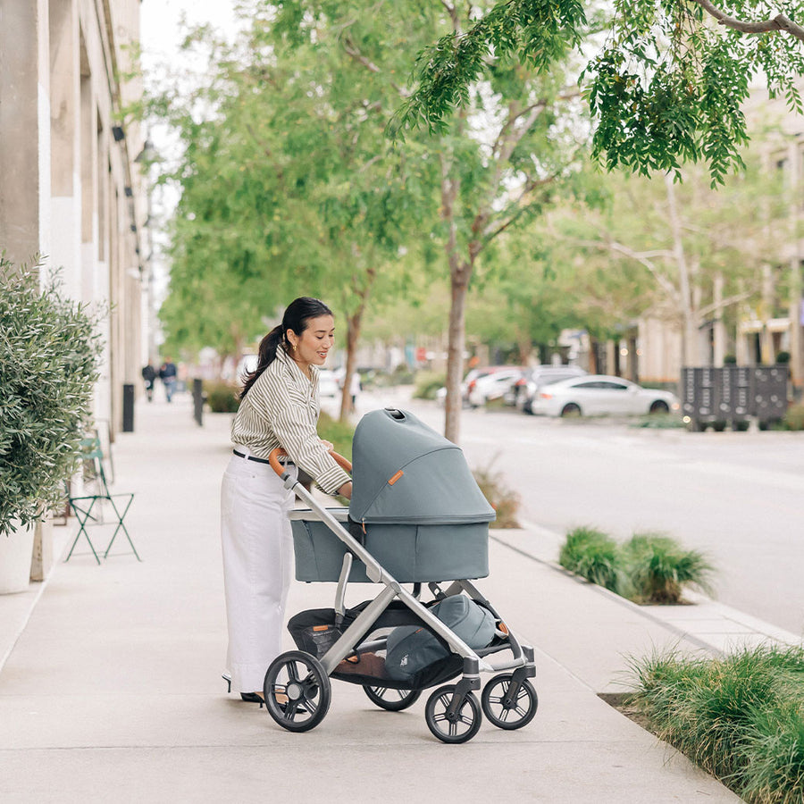 UPPAbaby UPPAbaby Vista V3 Stroller and Bassinet Bundle