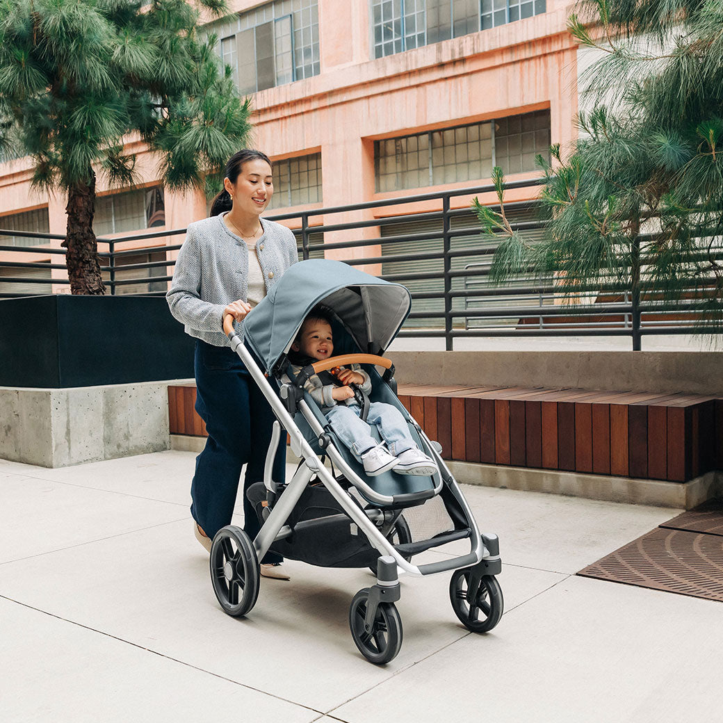 UPPAbaby UPPAbaby Vista V3 Stroller and Bassinet Bundle