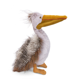 Speedy Monkey Pelican - All Around the World