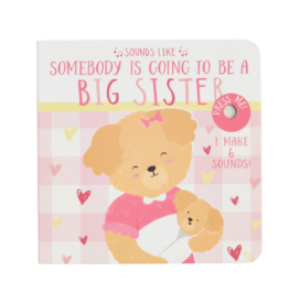 Mud Pie Sounds Like Big Sis Book