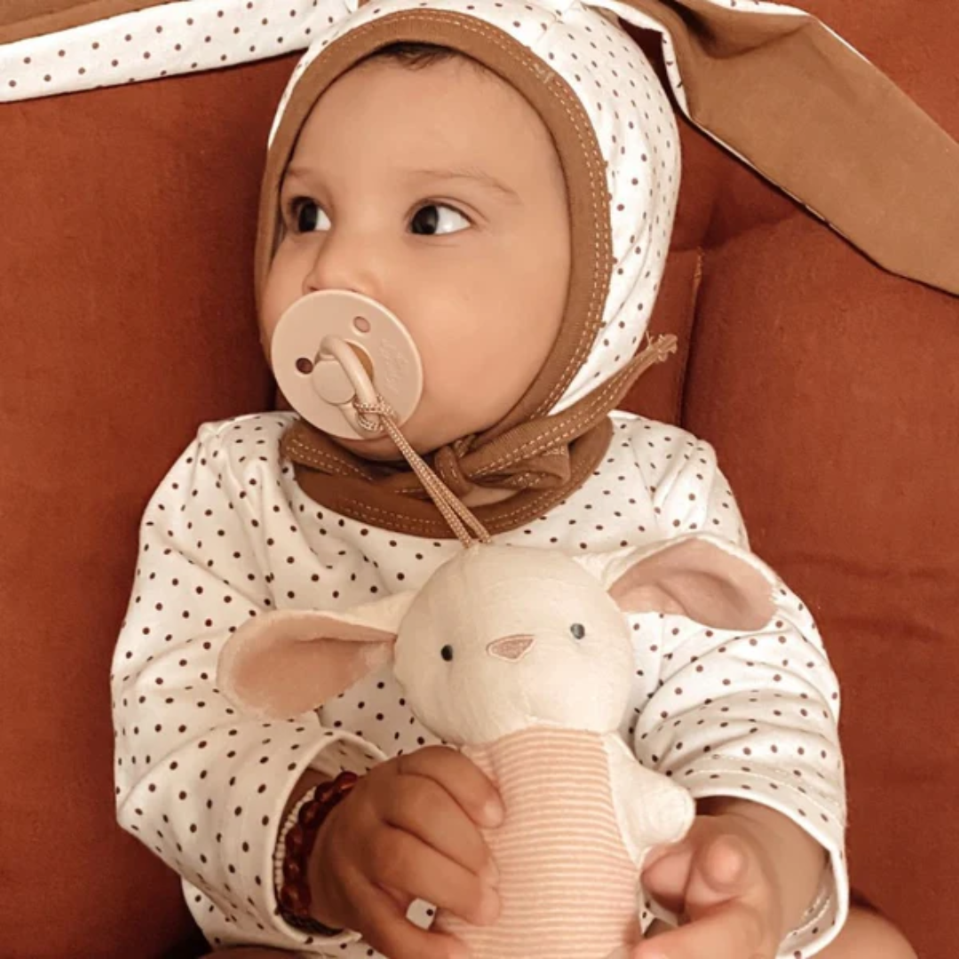 Itzy Ritzy Bitzy Pal Natural Rubber Pacifier and Plush Toy | Bunny