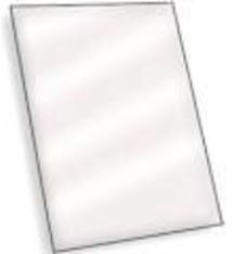 Menu Solutions Menu Protectors, 5-1/2" x 8-1/2" (50)