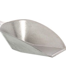 Update International Scoops