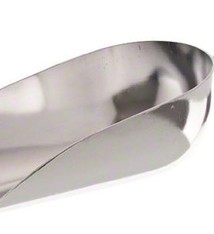 Update International Scoops