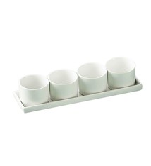 CAC Tray & Bowl Set (10 Sets), 9.5"