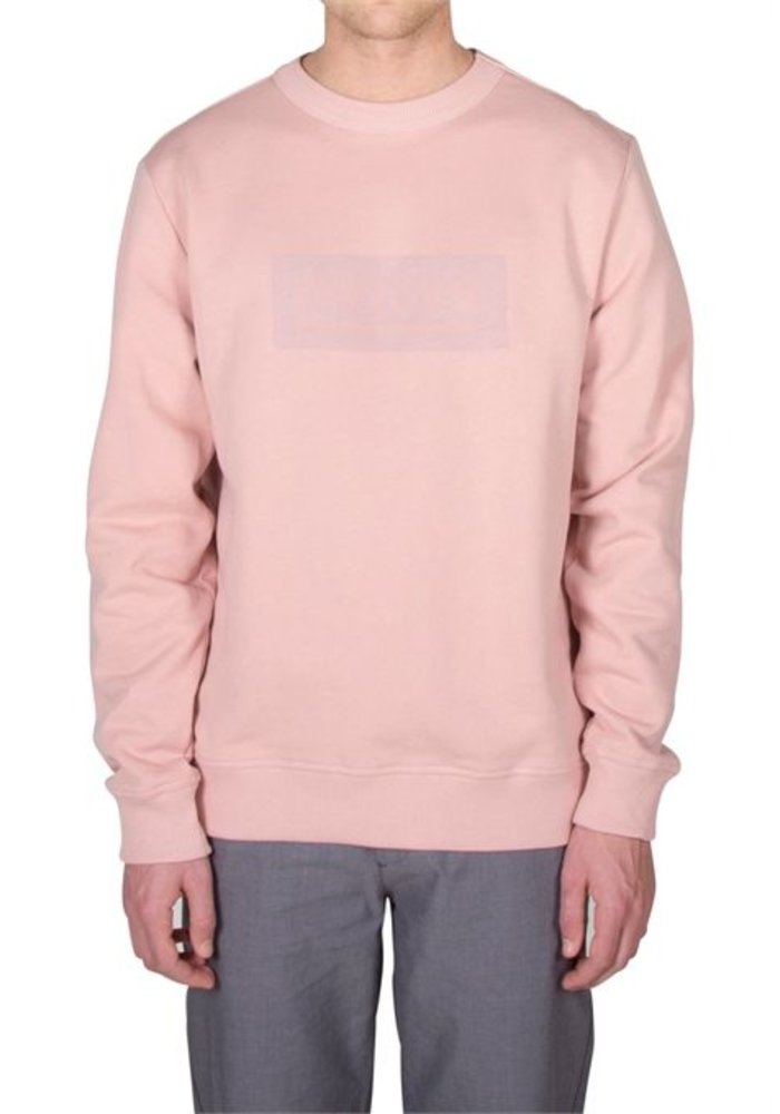Window sweater men pink