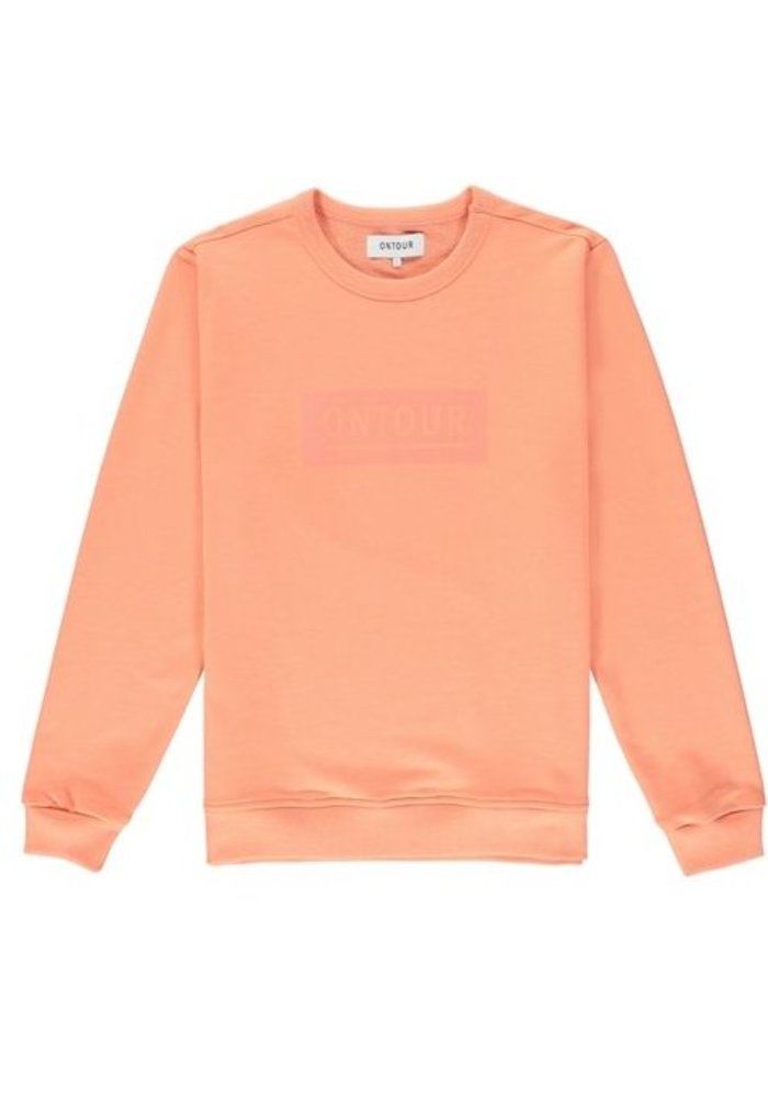 Window sweater men orange