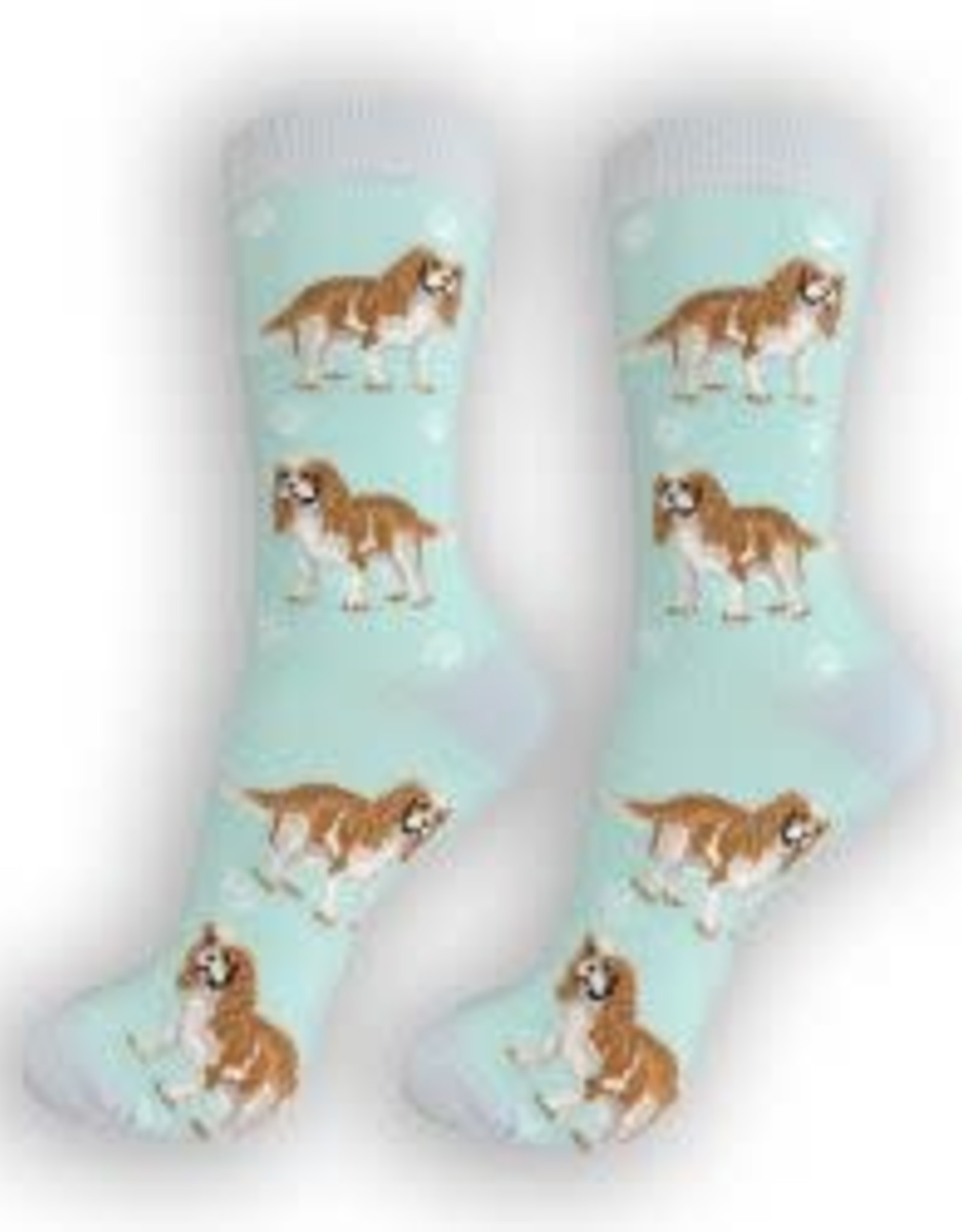 E and S CAVALIER KING CHARLES HAPPY TAILS SOCKS