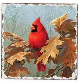 Counter Art CARDINALS 2 COASTER