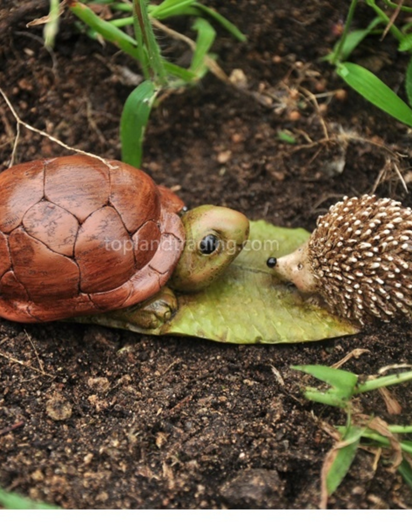 Top Land Trading TURTLE AND HEDGEHOG