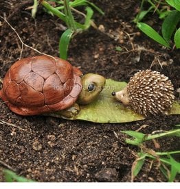 Top Land Trading TURTLE AND HEDGEHOG