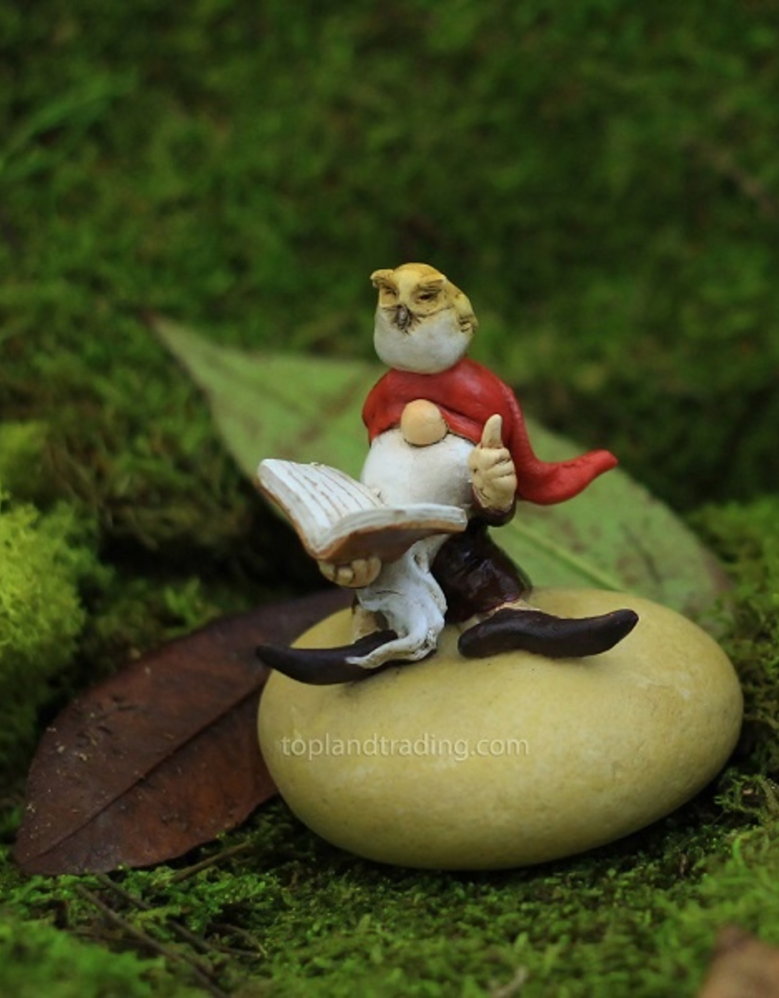 Top Land Trading GARDEN GNOME AND OWL READING BOOK