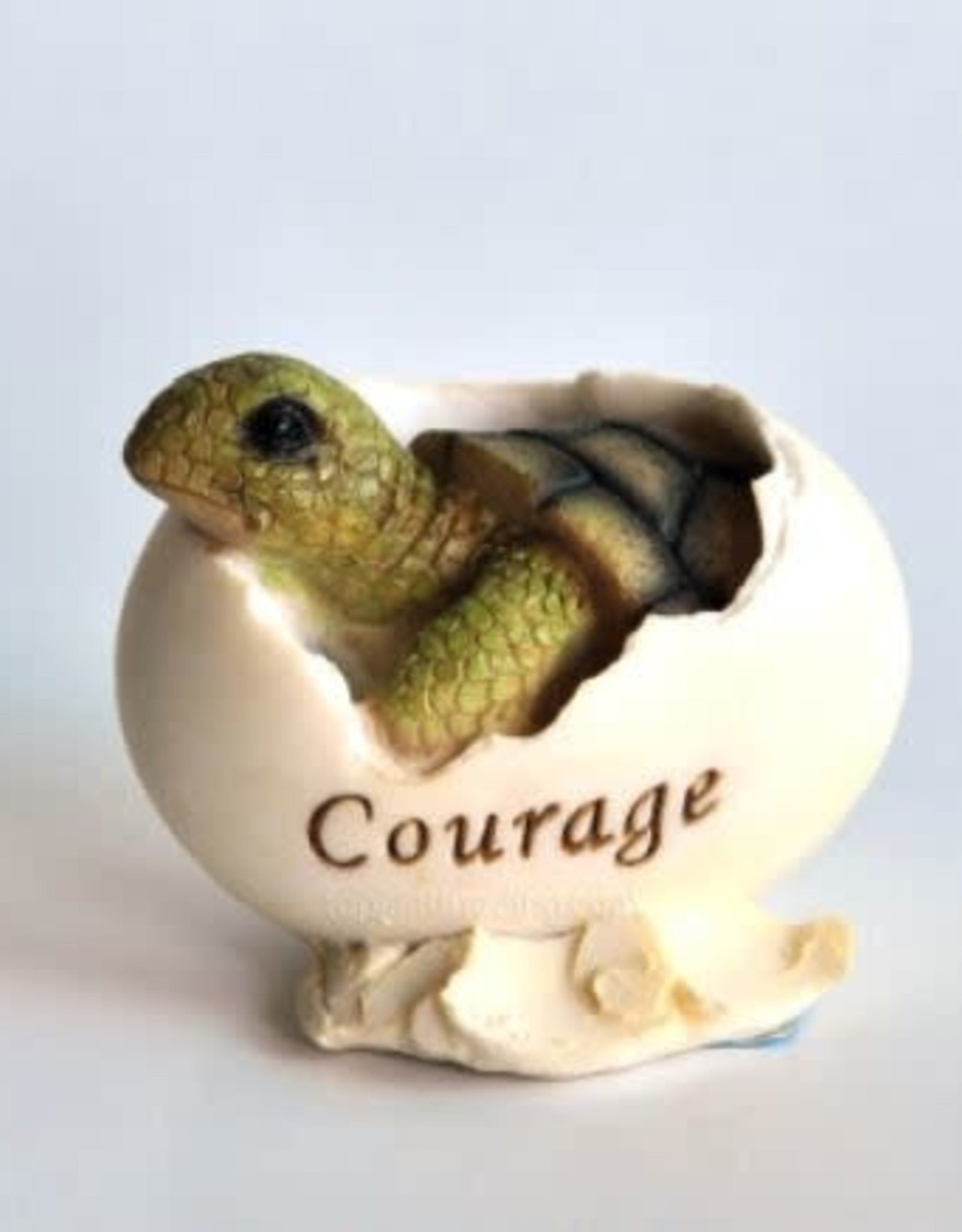 Top Land Trading BABY SEA TURTLE HATCHING COURAGE